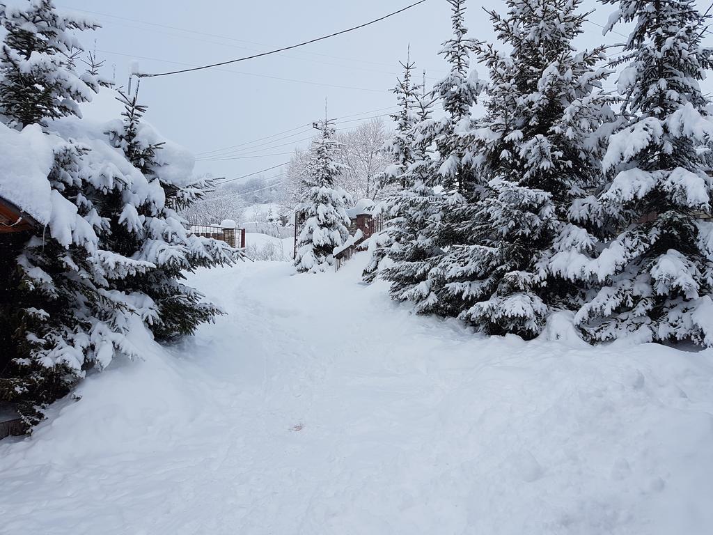 Aspen Hotel Szlavszke Kültér fotó